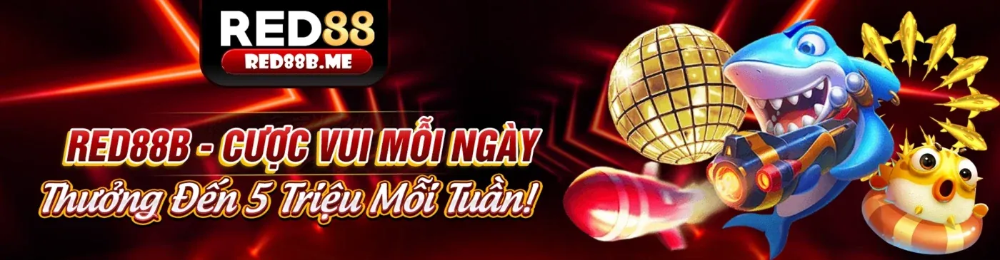 Hoàn trả hàng ngày Vicwin